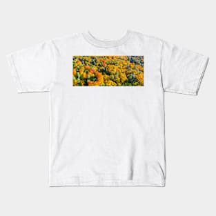 Aerial panoramic view of vibrant colorful autumn forest Kids T-Shirt